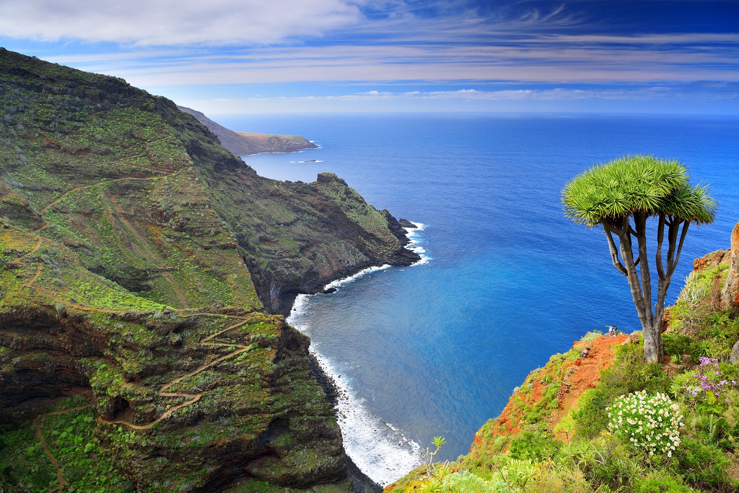 Pasantía en las Islas Canarias, el destino perfecto este 2020 23