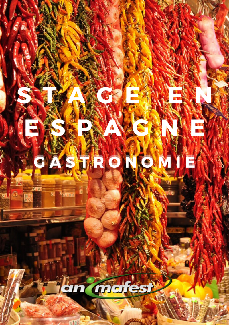 Stage rémunéré de Gastronomie en Espagne