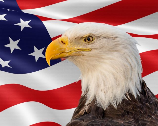virtual online internship america