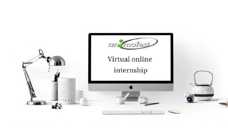 virtual online internship animafest