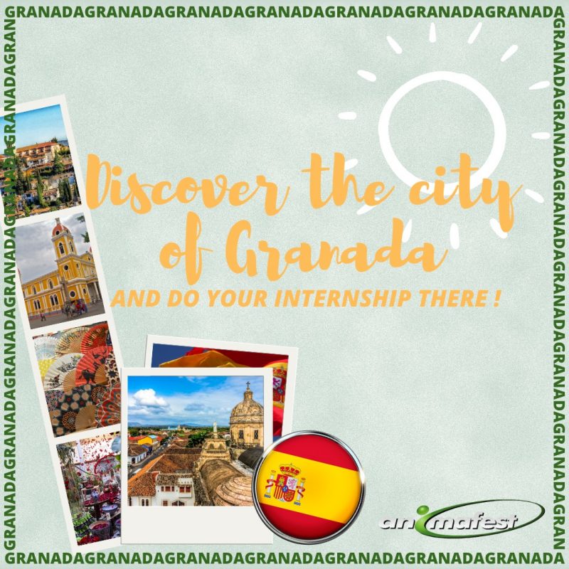 paid erasmus internship in spain in city of granada poster