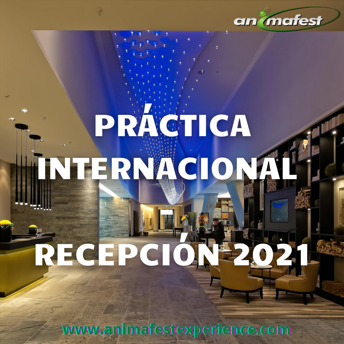 Práctica internacional - Recepción 2021 2