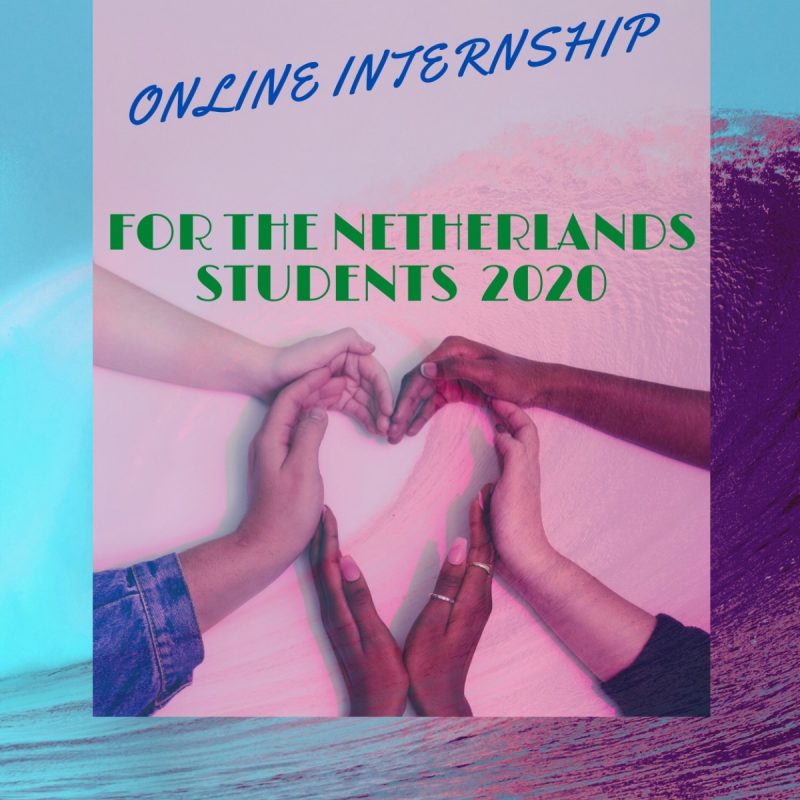 Online internship for the Netherlands' students