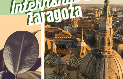 Stage/Tirocini a Saragozza