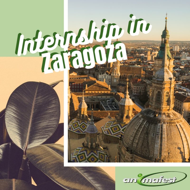 Erasmus internship in Zaragoza Spain