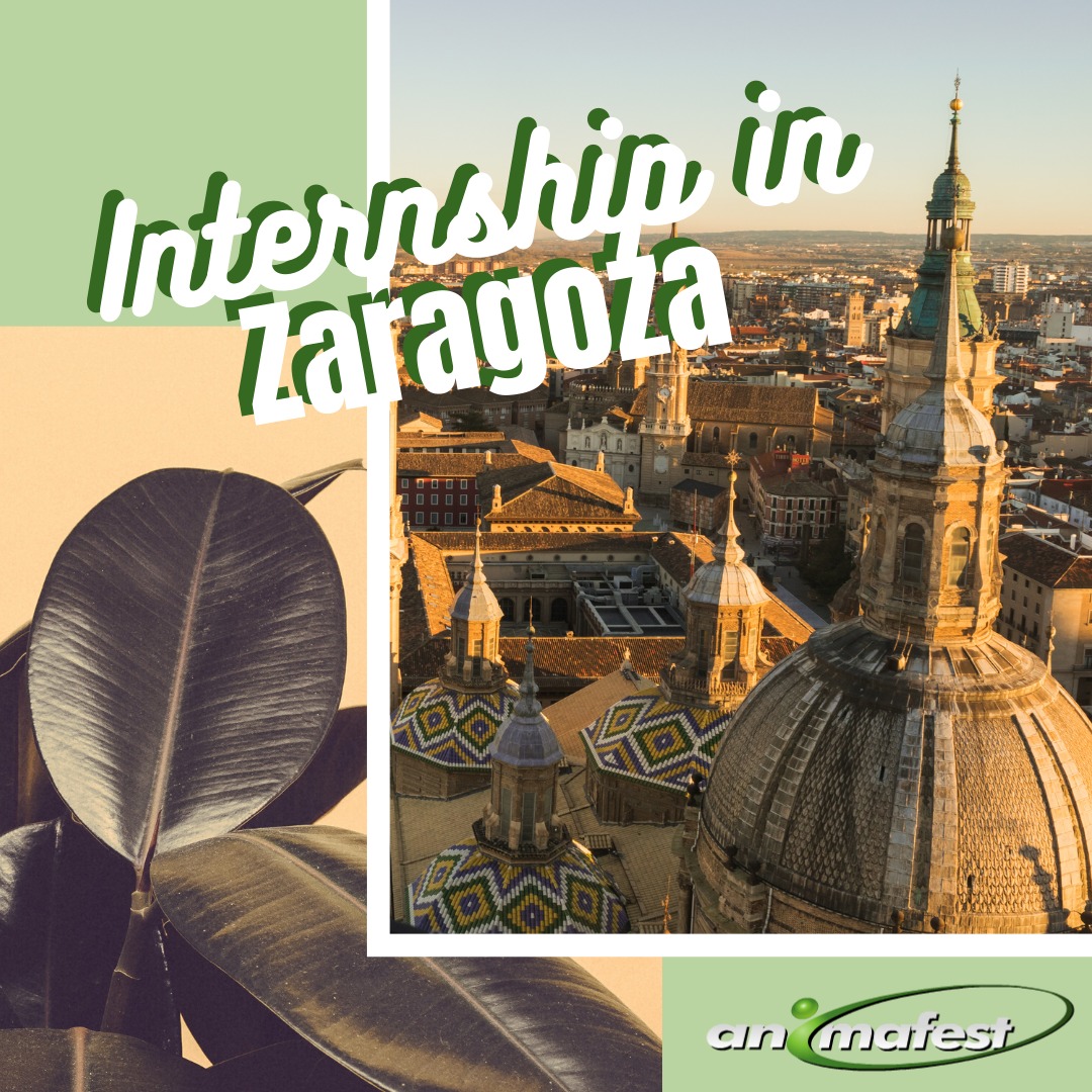 Erasmus internship Spain Zaragoza 2020