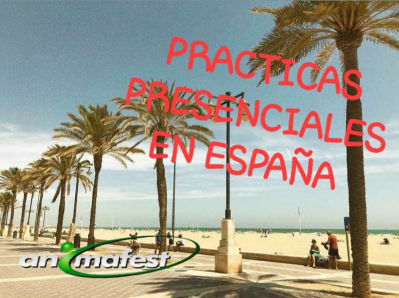 Professionelle Praktika in Spanien