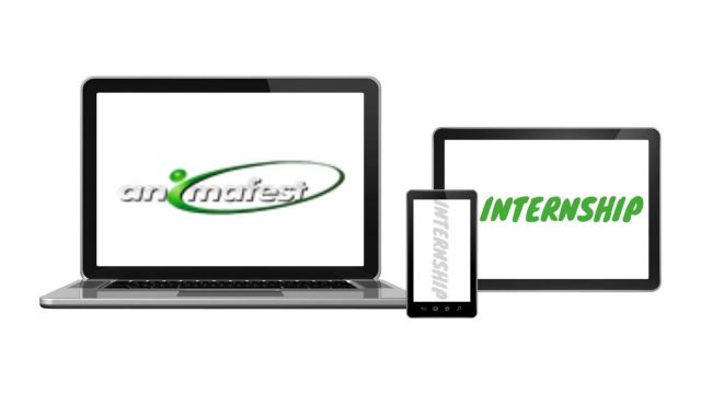 Internship in Spain with Animafest