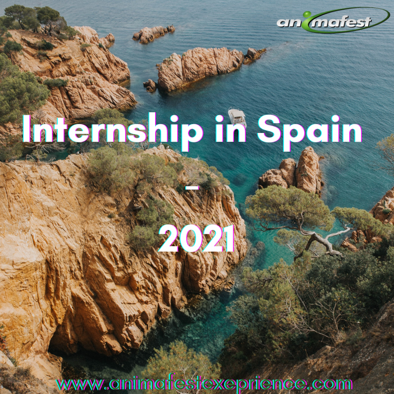 Internship in Spain - 2021