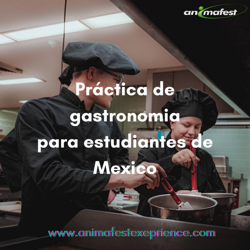 PRACTICAS DE GASTRONOMIA-ESTUDIANTES DE MEXICO- España 2021