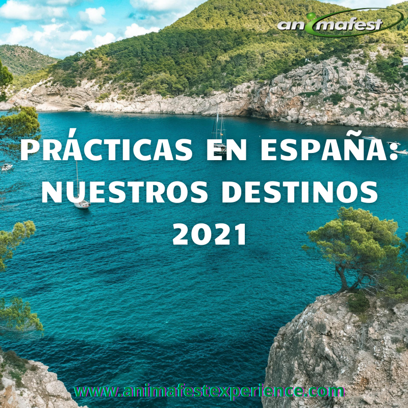 PRÁCTICAS EN ESPAÑA: NUESTROS DESTINOS 2021