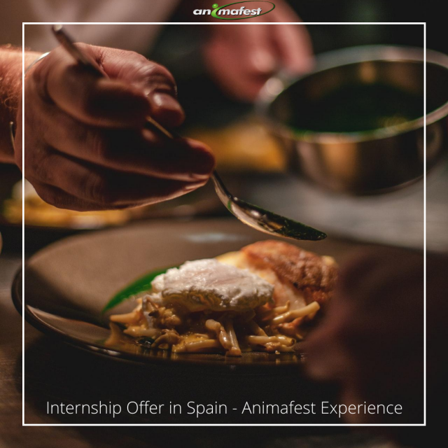 Internship in Spain