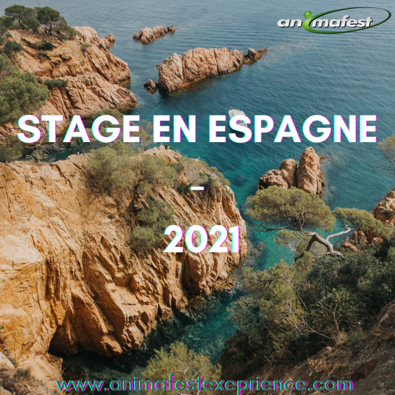 Offres de Stage en Espagne - 2021
