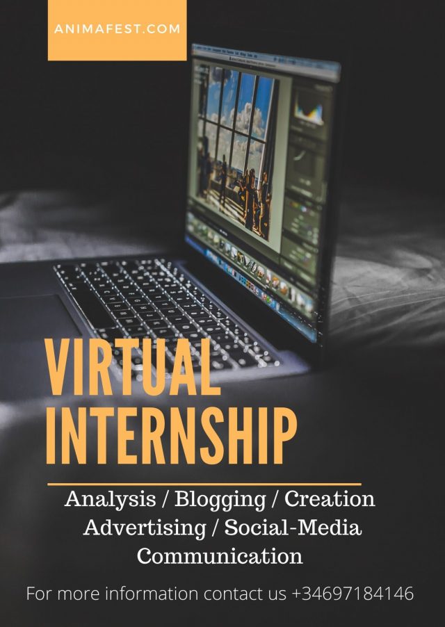 Virtual internship