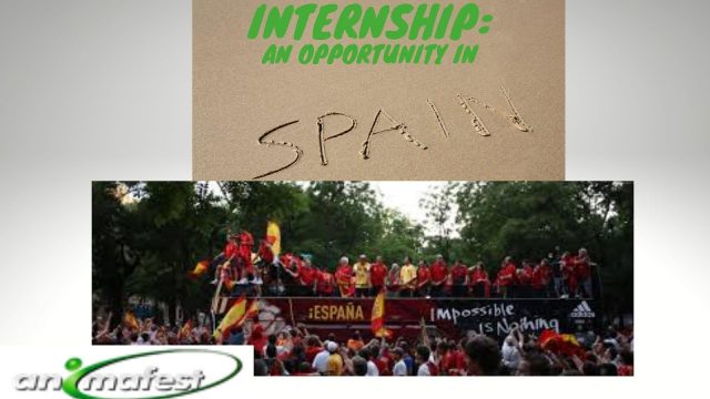 Internship in Spain with Animafest