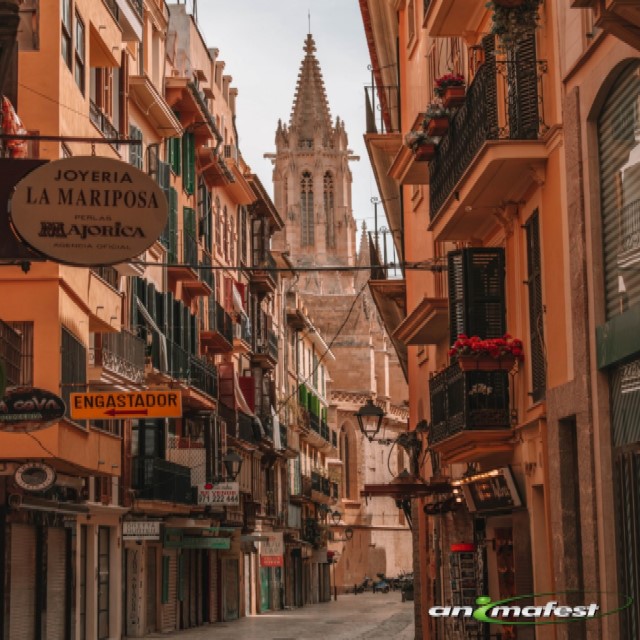 INTERNSHIP IN MALLORCA, SPAIN