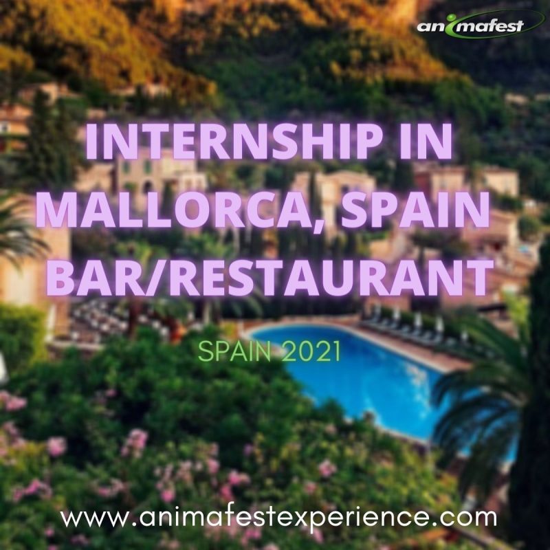 INTERNSHIP IN MALLORCA, SPAIN