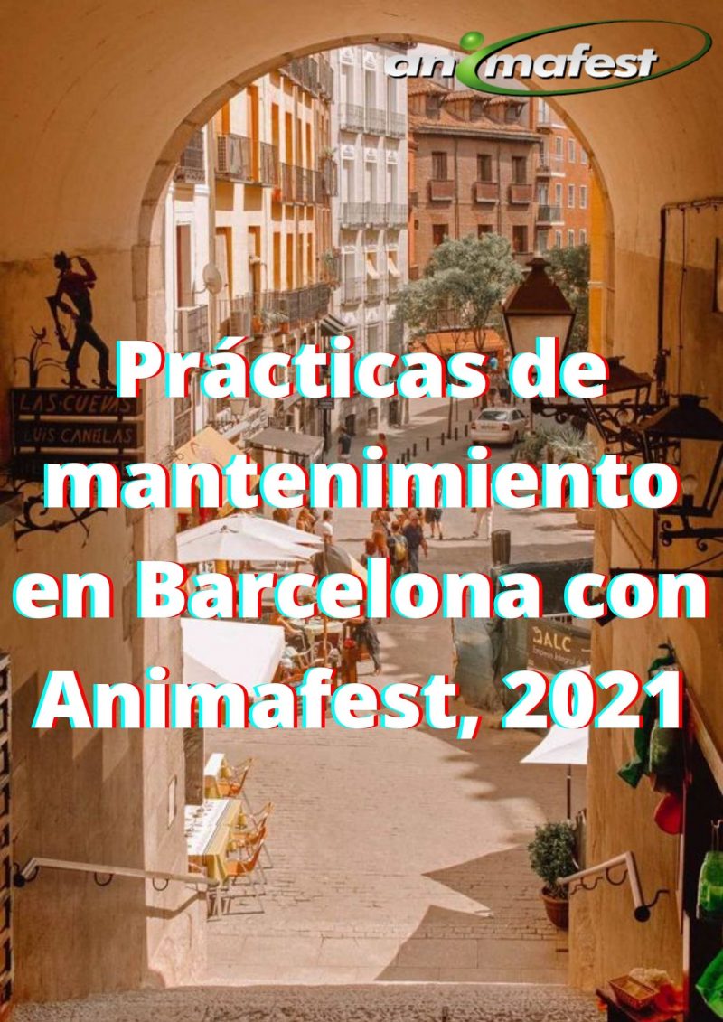 Prácticas de mantenimiento en Barcelona con Animafest, 2021