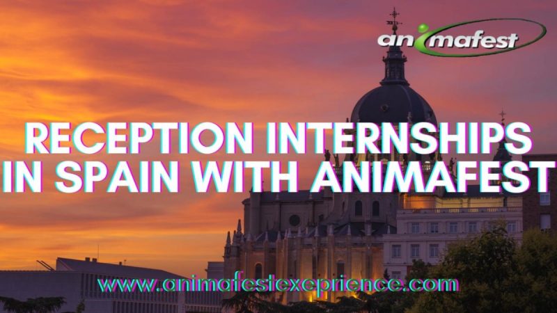 Reception internships in Spain with Animafest