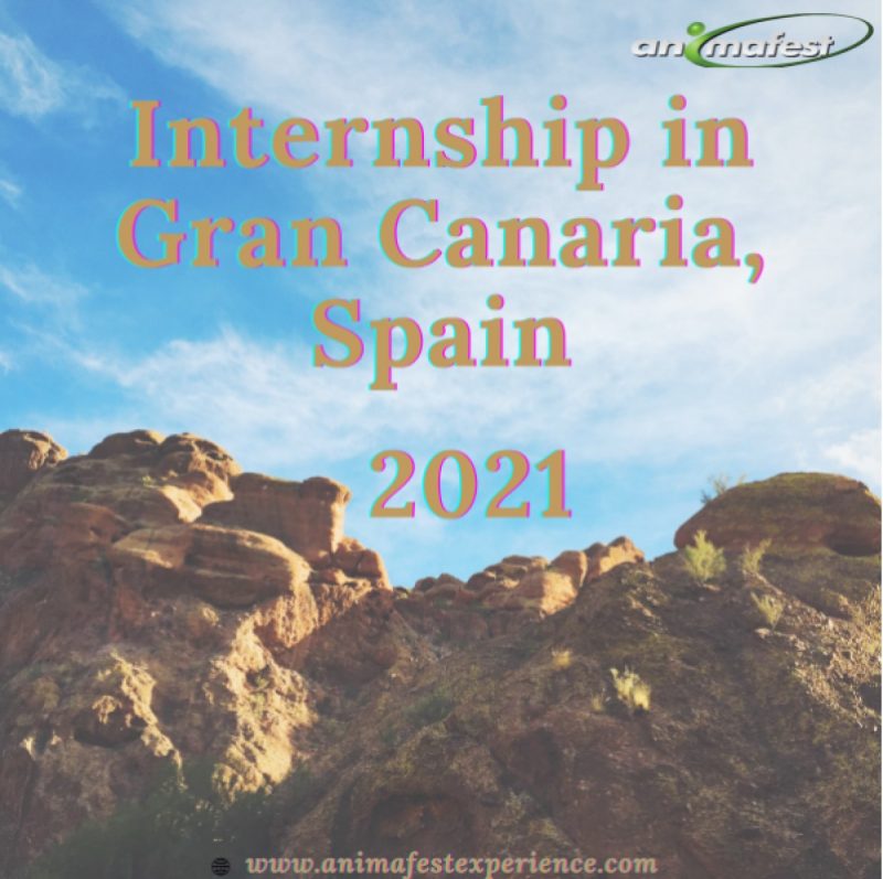 Internship in Gran Canaria, Spain