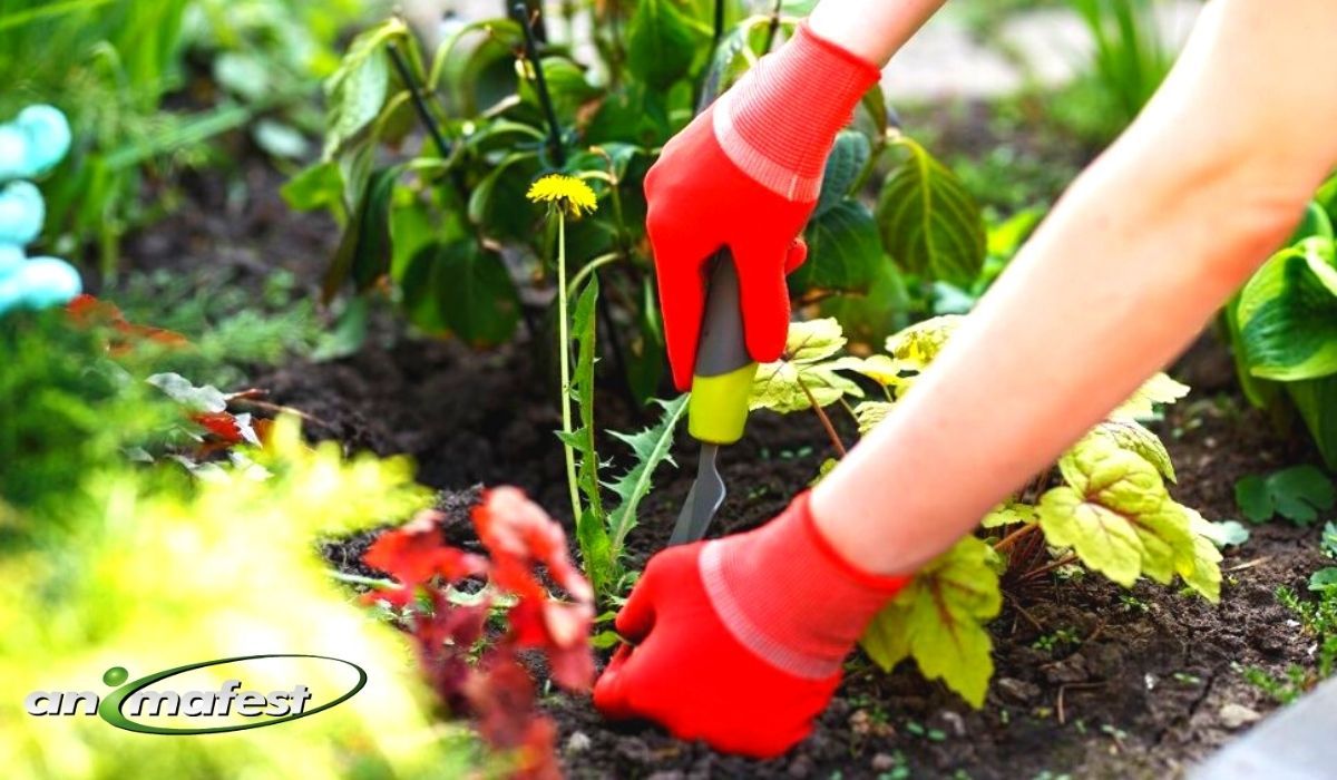Stages de jardinage dans des campings en Espagne 2021