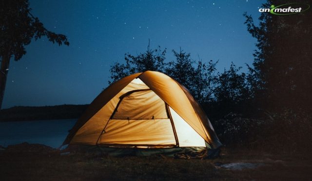 Internship in Camping Spain-2021 1