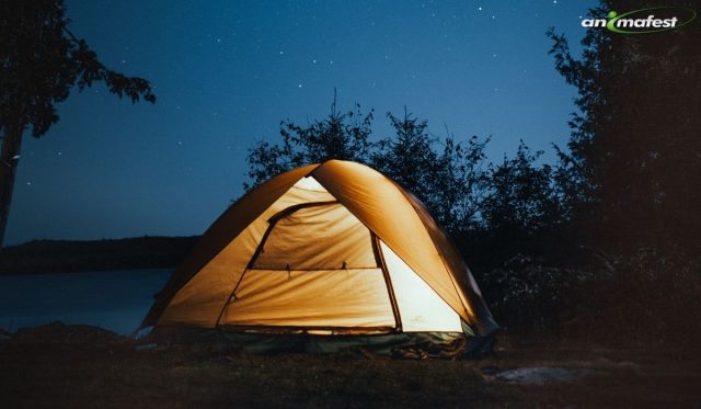 Internship in Camping Spain - 2021 1