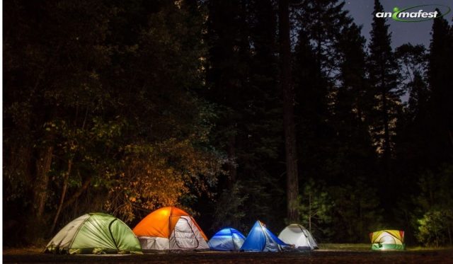 Internship in Camping Spain - 2021 3