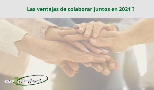 Las ventajas de colaborar juntos en 2021