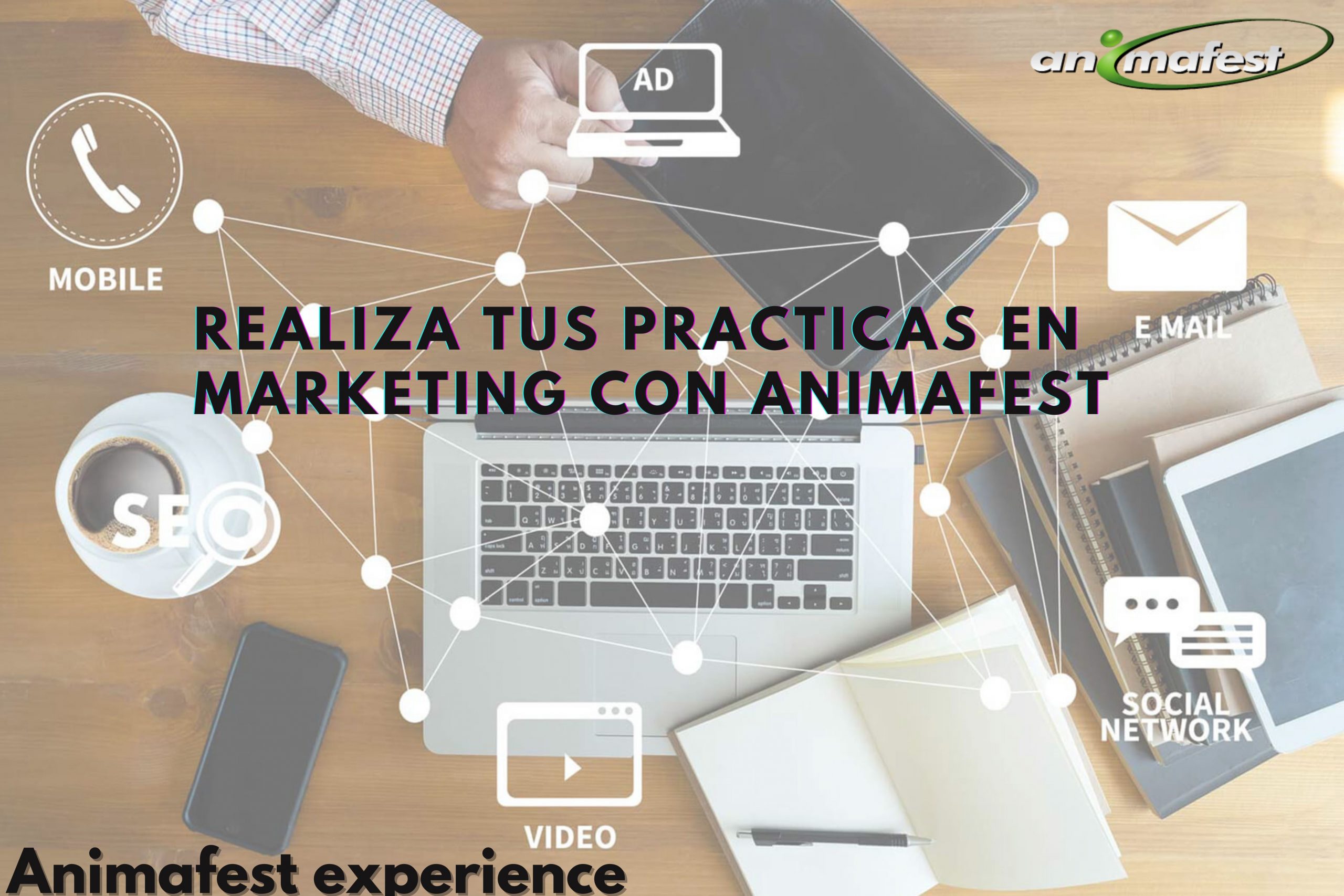 Realiza tus prácticas en Marketing con Animafest 2021 13