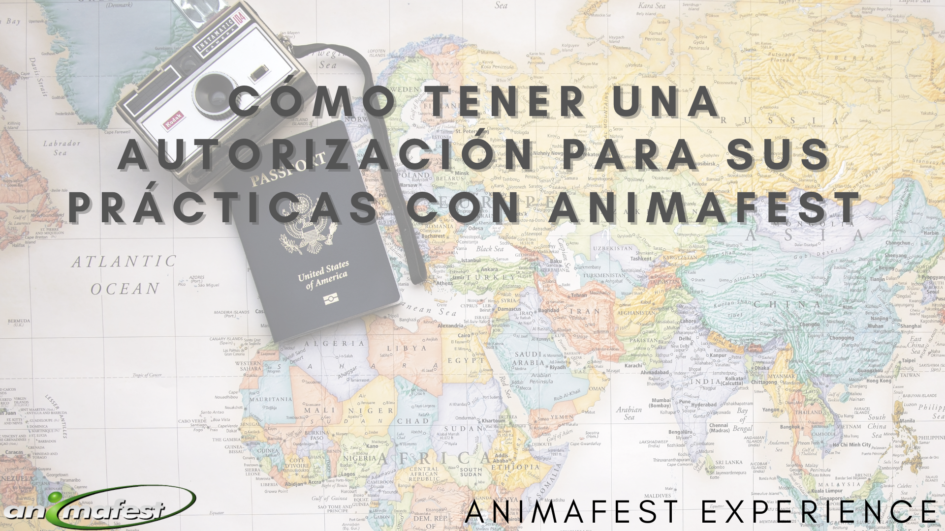 Cómo tener una autorización para sus prácticas con Animafest  8