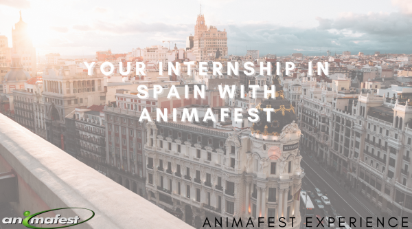 Your intrernship in Spain with Animafest