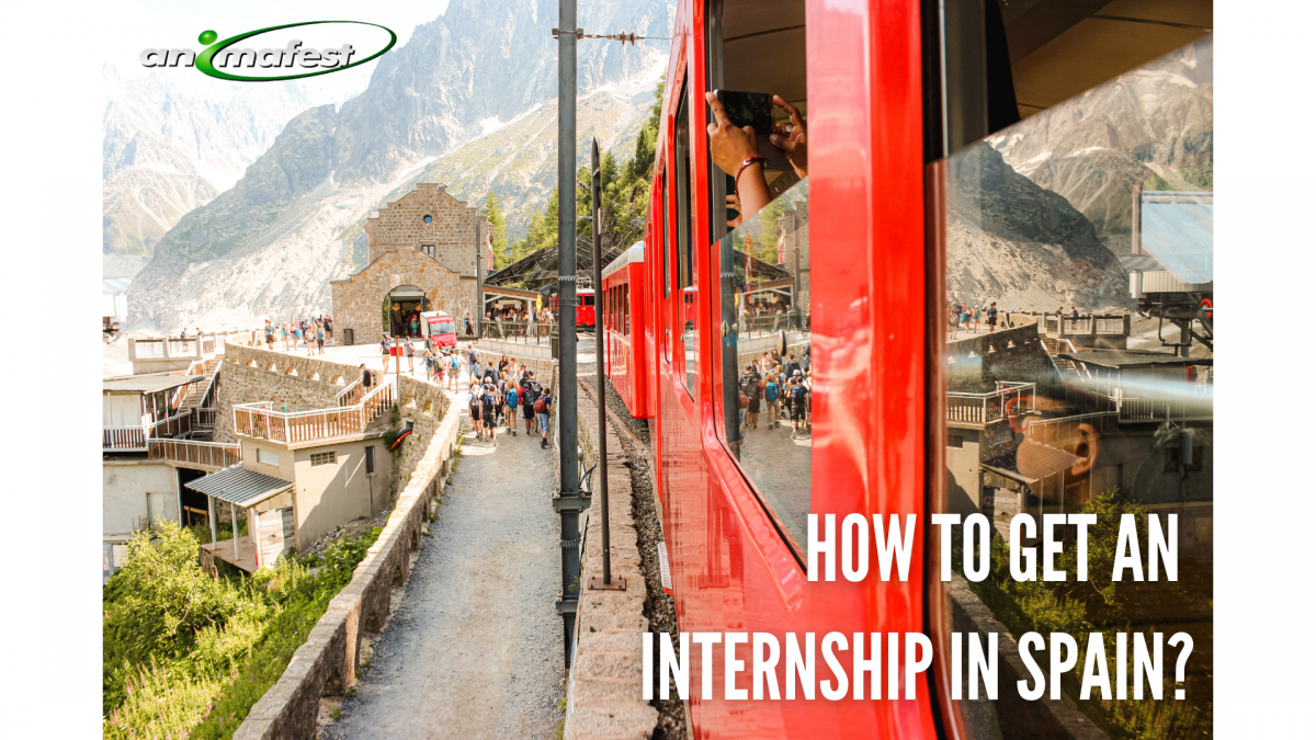 How to get an internship in Spain? 2021