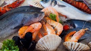 INTERNATIONAL INTERNSHIPS ON THE COSTA DEL SOL, SPAIN: 2023 4