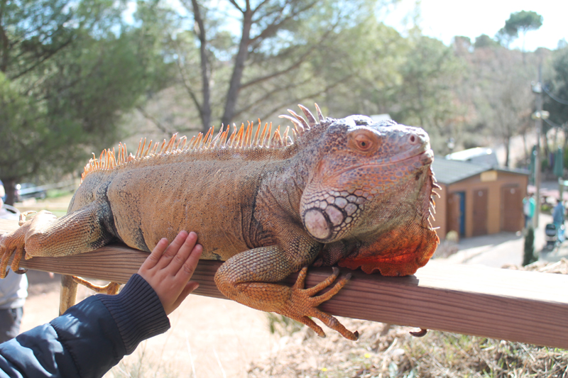 Stages à barcelone : visite de la granja natura 2023