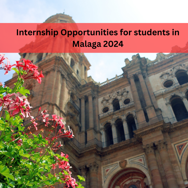 Internship Opportunities for students in Malaga 2024