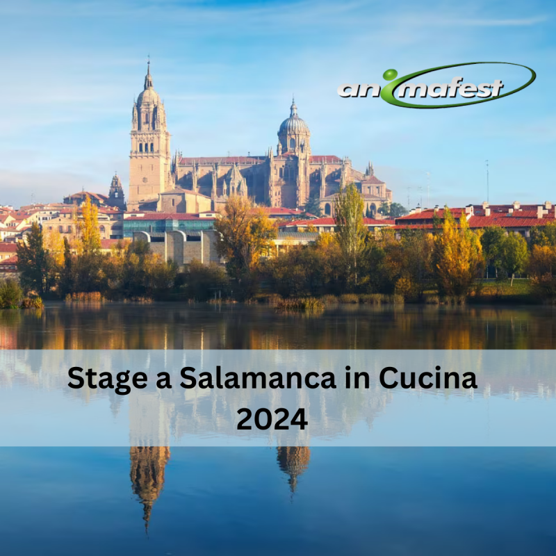 Stage Salamanca Cucina 2024