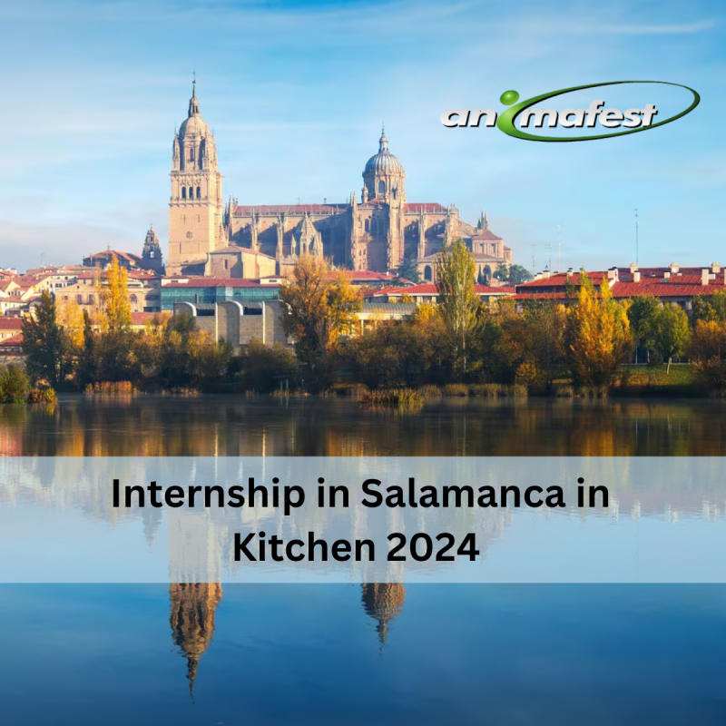 Discover the Internship in Salamanca in Kitchen 2024