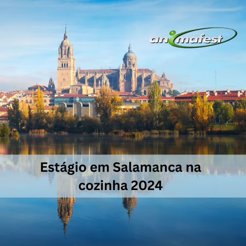 Descobrir o Estágio em Salamanca na Cozinha 2024