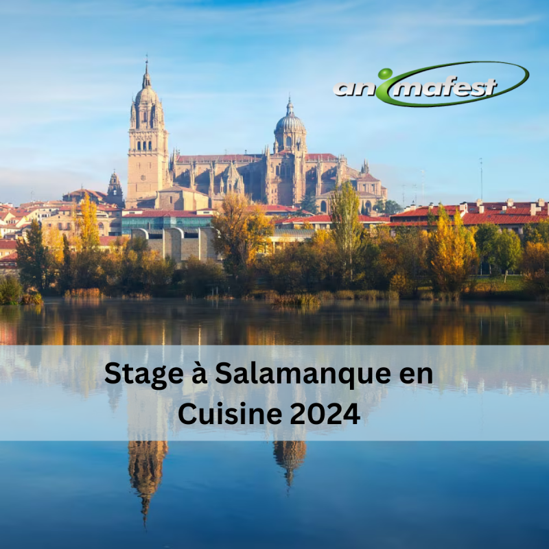 Stage à Salamanque en Cuisine 2024