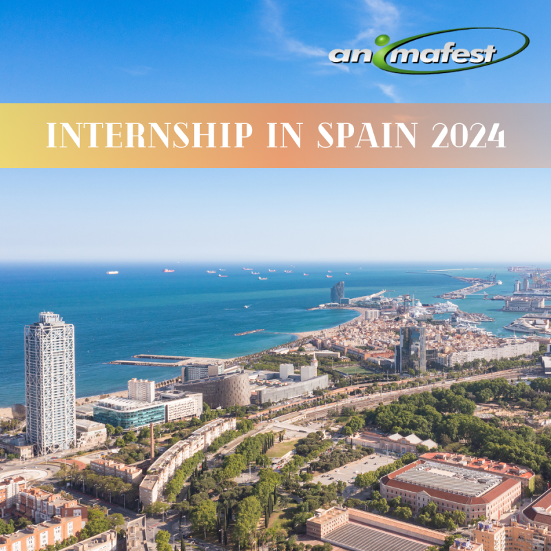 Internship Spain Experience