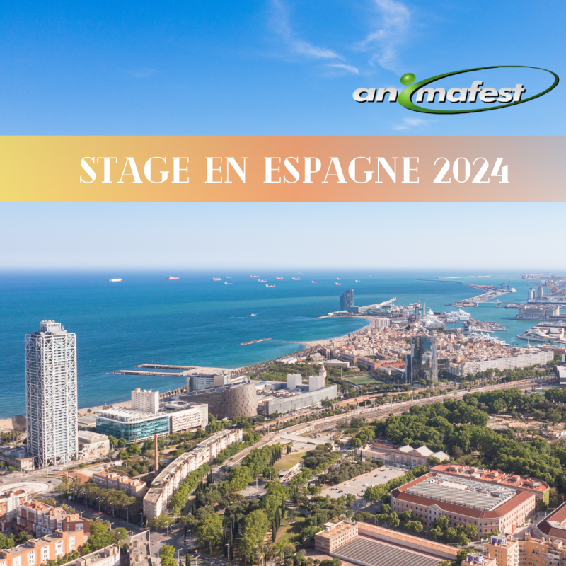 Stage en Espagne 2024, Expérience Internationale
