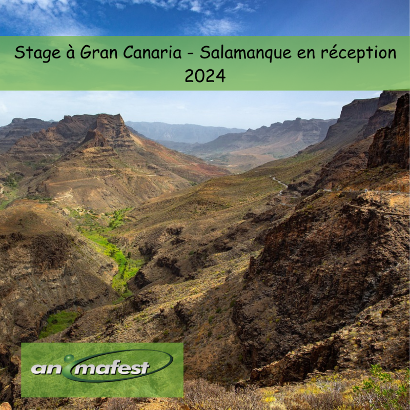 Stage à Gran Canaria - Salamanque en réception 2024