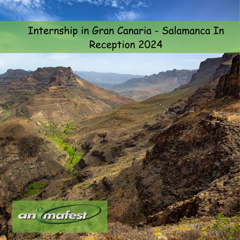 Internship in Gran Canaria - Salamanca In Reception 2024