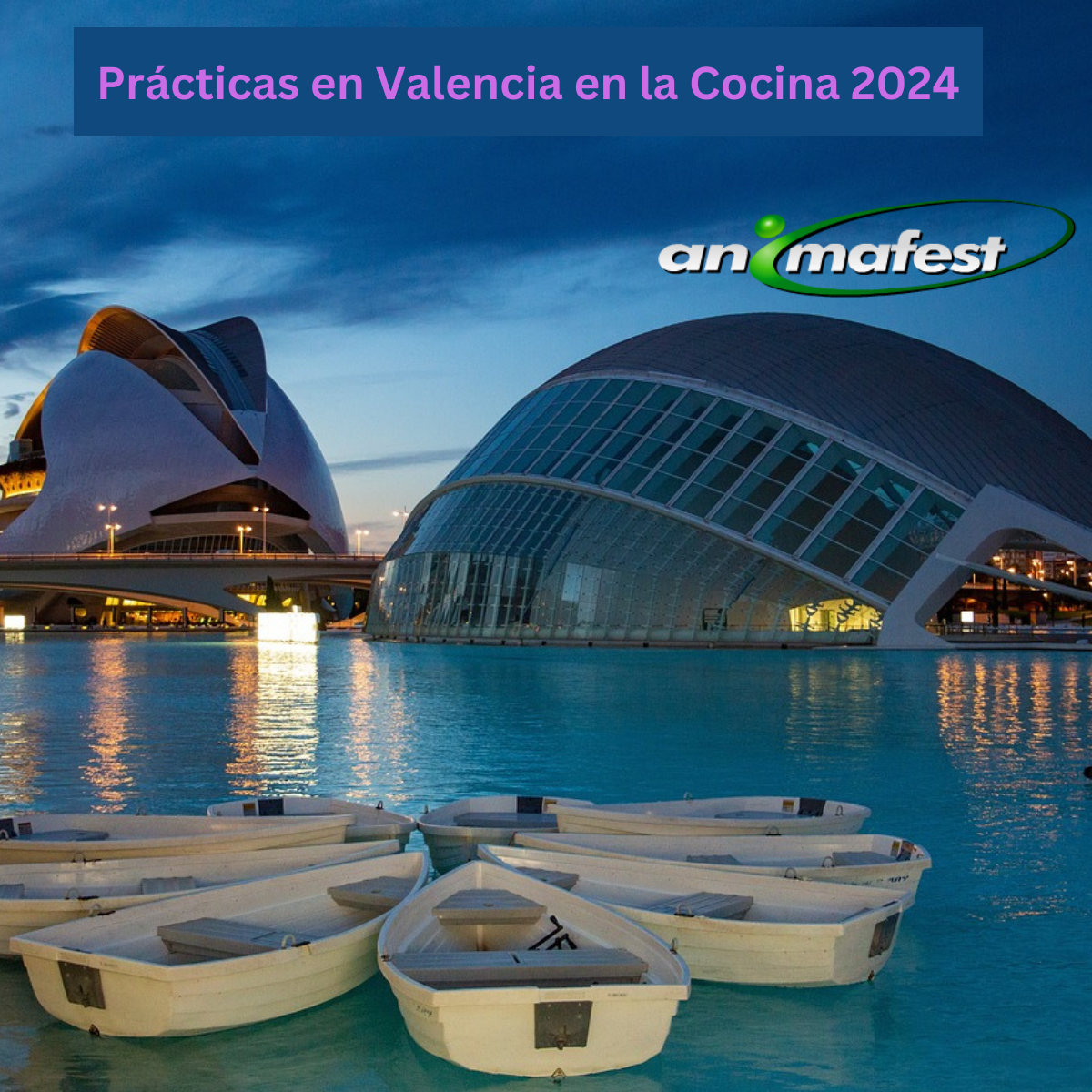 Prácticas en Valencia en 2024 en la Cocina