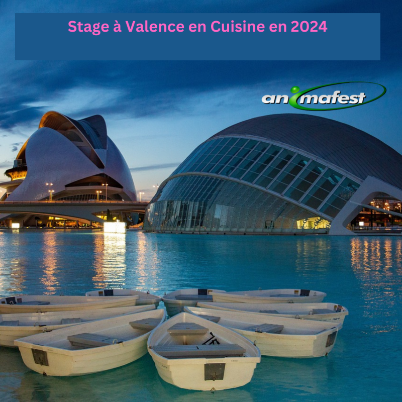 Stage à Valence en Cuisine en 2024