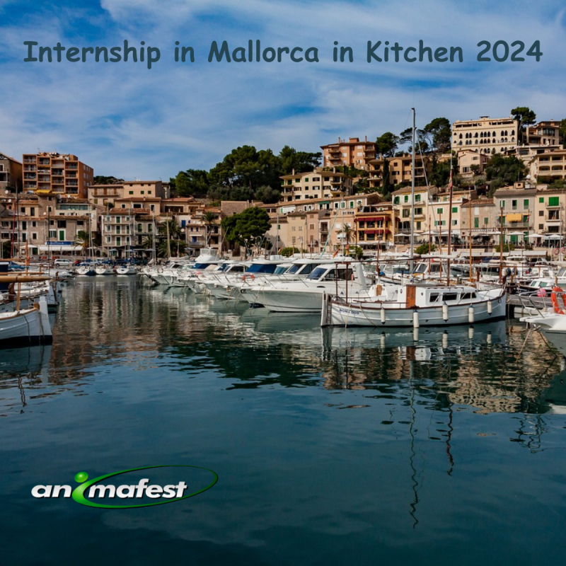 Internship in Mallorca in Kitchen 2024