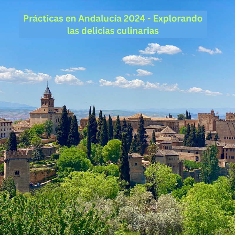Prácticas en Andalucía 2024 - Explorando las delicias culinarias