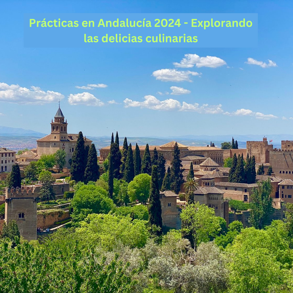 Prácticas en Andalucía 2024 - Explorando las delicias culinarias