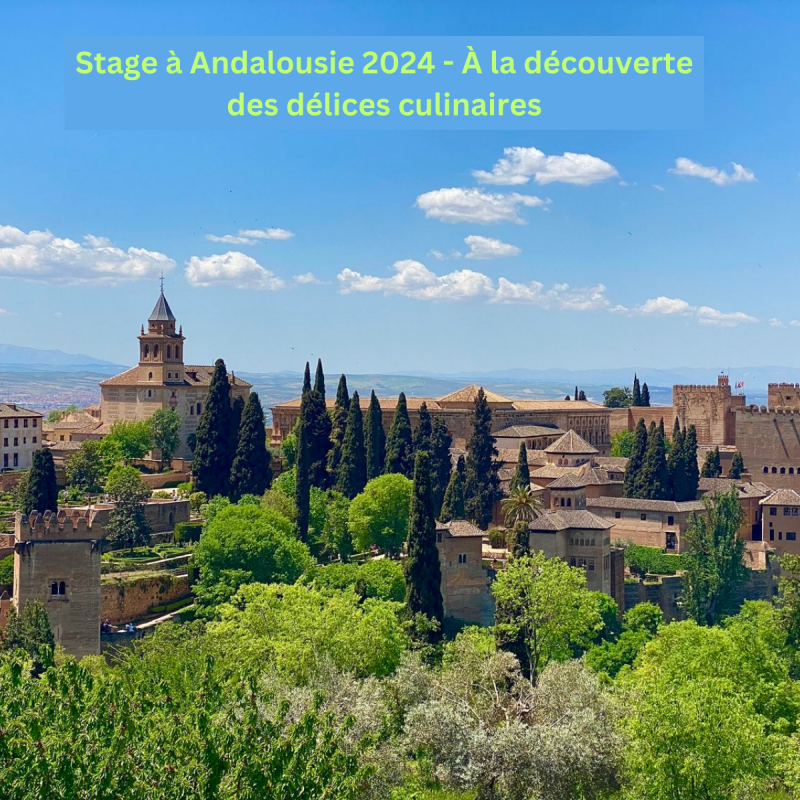 Stage à Andalousie 2024 - À la découverte des délices culinaires